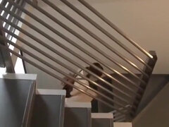 Iso kulli, Klassinen, Söpö, Rankka, Sekarotuinen, Japanilainen, Pillu, Tissit