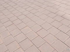 Pénisz, Német, Kőkemény, Latin lány, Nézőpont, Valóság, Durva