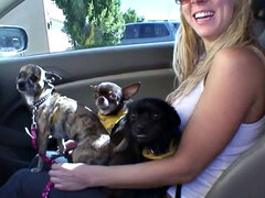 18, Duże cycki, Bikini, Blondynka, Kuchnia, Masturbacja, Pornstars, Nastolatki