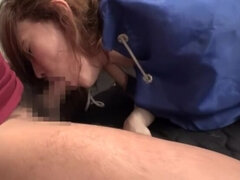 Ázijskej, Kuřba, Striekanie semena, Skupina, Hd, Japonské, Teenka, Švédska rojka