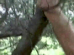 Amatør, Strand, Far, Homoseksuel