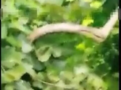 Morena, Sexo duro, Hd, Indio