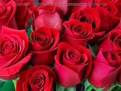 Anál, Zadok k puse, Veľký zadok, Podvádzanie, Honění, Indické, Milf  mčbp, Mamina