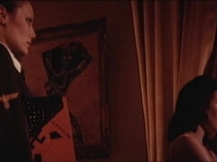 Blondynka, Brunetka, Hd, Markowy