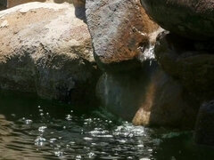 Popó, Tekintélyes didik, Fürdő ruha, Ruha, Láb, Sarokkal való, Természetes mellek, Begyek