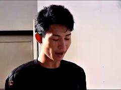 Asiáticoa, Boquete, Grupo, Hardcore