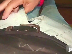 Amatéri, Veľké péro, Honění, Kuchyne, Dospelé