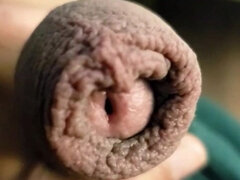 Duży kutas, Dominacja, Fetysz, Penis, Punkt widzenia