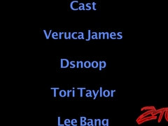 Ázsiai, Tekintélyes didik, Cumizás, Kebles, Mélytorok, Érett feleség, Begyek