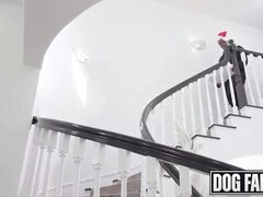 Culo grande, Tetas grandes, Mamada, Garganta profunda, Polla, Estilo perrito, Interracial