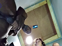 Bbw, Čierne, Ebenové, Latinskej, Švédska rojka