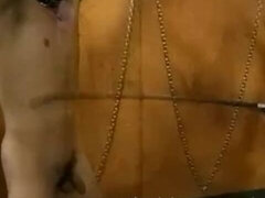 Bondage sadomaso, Bondage, Fetish, Hardcore, Lattice, Rossa, Retrò, Tette