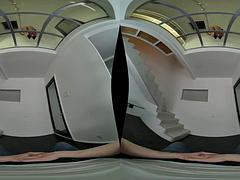 Trojrozměrné, Kotě, Velké kozy, Kuřba, Brunetka, Dospělé, Různé pohledy, Realita