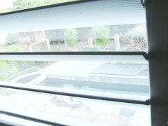 Tekintélyes didik, Két nő, Kőkemény, Érett feleség, Természetes mellek, Hármas