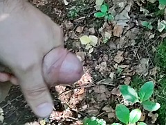 I found a place to cum outdoors in the forest
