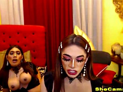 Two sexy shemales love anal fucking