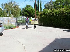 Afrykański, Duży kutas, Puma, Kutas, Ogromny kutas, Penis, Ssanie, Trójkąt