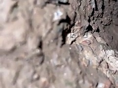 デカチン, 足, フェティッシュ, 面白, ゲイ, 毛深い, 公共, ガリガリ