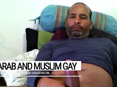 Arabe, Verga grande, Gay