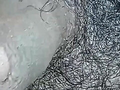 Vlasatej, Indické, Z pohľadu účastníka