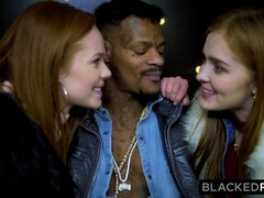 Musta, Karvainen, Hd, Hotelli, Sekarotuinen, Selkäsauna, Ratsastaa, Piiskaava