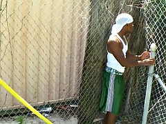 Amaterji, Analno, Črnke, Fafanje, Temnopolti, Gej, Zunaj, V javnosti