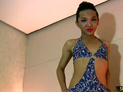 Stor pik, Shemale, Solo, Bryster