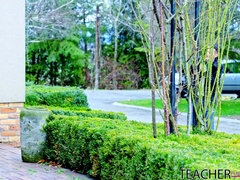 Velike joške, Blondinka, Busty, Hardcore, Milf, Naravne joške, Študentje, Najstnice