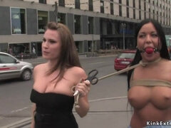 Tekintélyes didik, Kötözés, Gesztenyebarna, Kebles, Kőkemény, Megalázás, Begyek, Kukkoló