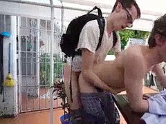 Broeder, Universiteit, Homo, Billekoek, Slikken, Tiener