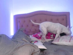 아프리카인, 아마추어, 큰 엉덩이, 흑인, 미친, 라티나, 셀카, 혼자