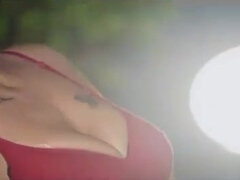 Bruinharig, Hd, Indisch