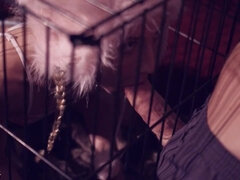 Anaal, Grote kont, Grote mammen, Pijpbeurt, Bruinharig, Lul, Rijpe lesbienne, Moeder die ik wil neuken