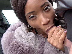 Iso kulli, Musta, Eurooppalainen, Ulkona